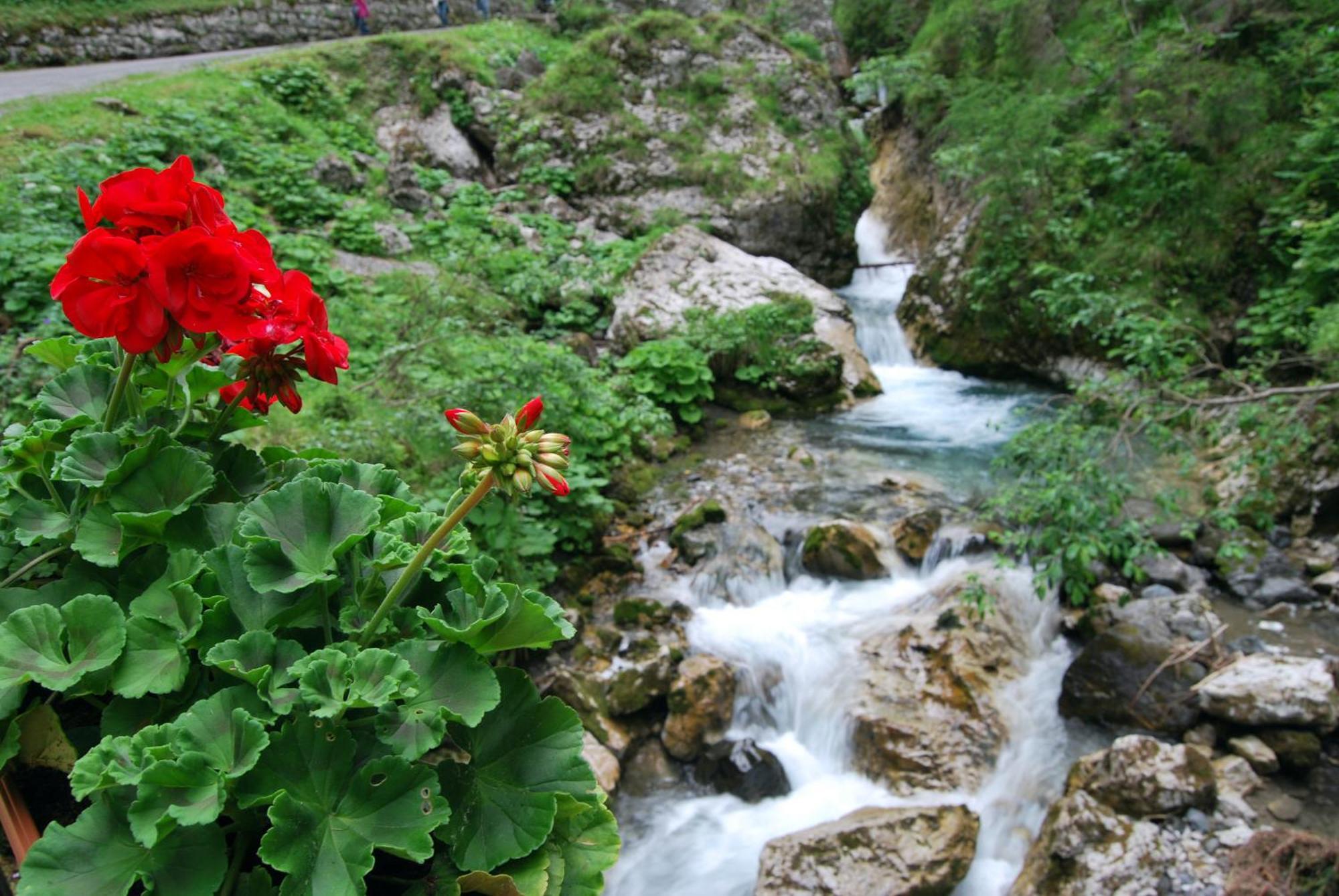 Dolomitissime Holiday Homes Marmolada Rocca Pietore Dış mekan fotoğraf